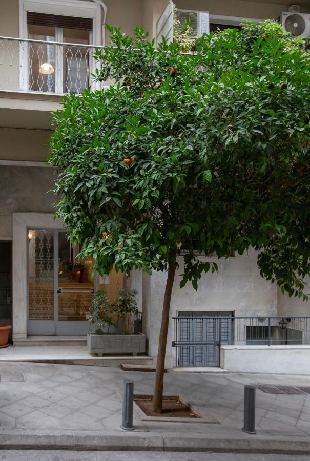 Apartment Syntagma With Acropolis View